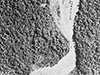 Click For Enlargement