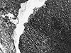 Click For Enlargement