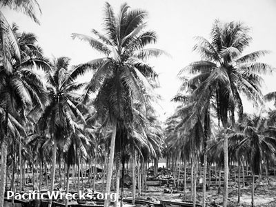 PacificWrecks.com