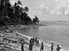 PacificWrecks.com