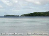 Click For Enlargement