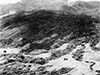 Click For Enlargement