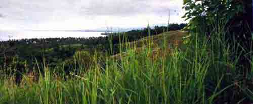 Click For Enlargement