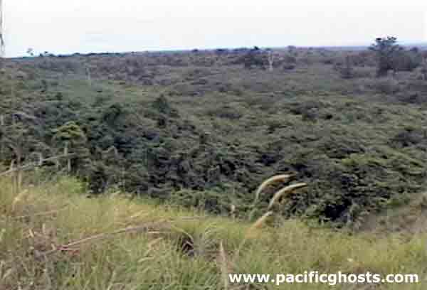 PacificWrecks.com