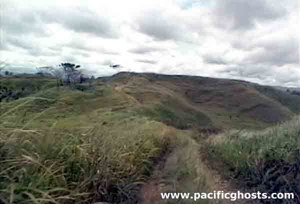 PacificWrecks.com
