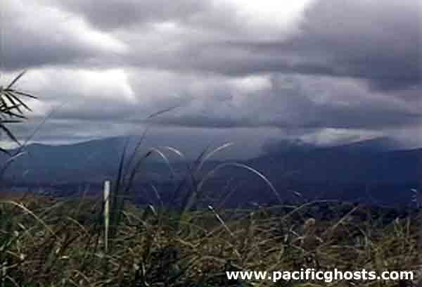 PacificWrecks.com