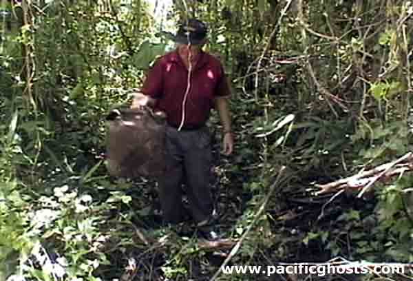 PacificWrecks.com