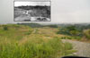 Click For Enlargement