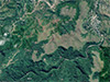 Click For Enlargement