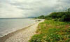 Click For Enlargement