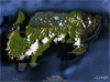 Click For Enlargement
