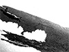 Click For Enlargement