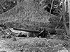 Click For Enlargement