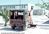 Click For Enlargement