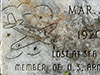 Click For Enlargement