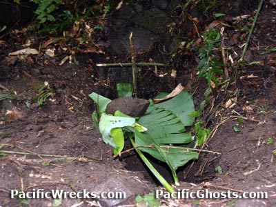 PacificWrecks.com