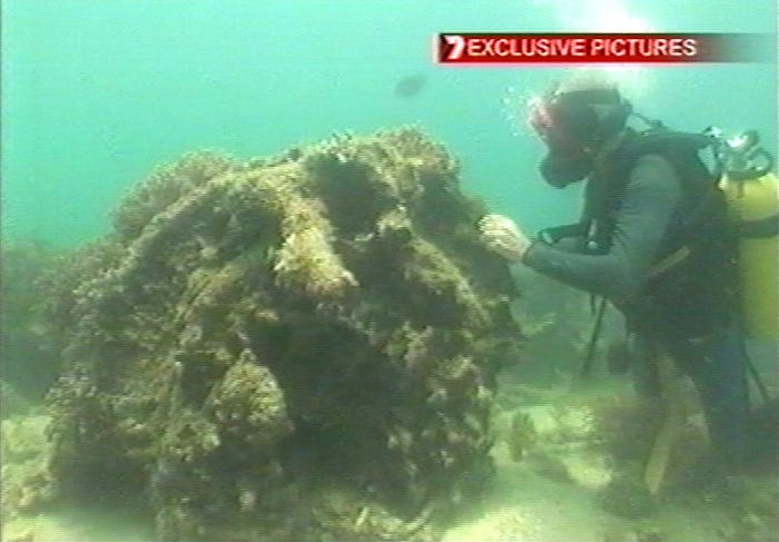 PacificWrecks.com