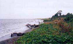 Kukum Beach