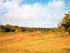 Click For Enlargement