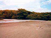 Click For Enlargement