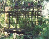 Click For Enlargement