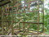 Click For Enlargement