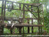 Click For Enlargement