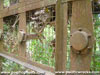 Click For Enlargement