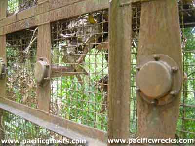 PacificWrecks.com