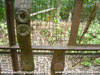 Click For Enlargement