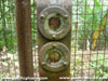 Click For Enlargement