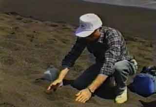 Sands of Iwo Jima