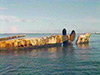 Click For Enlargement