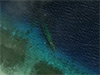 Click For Enlargement