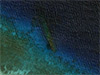 Click For Enlargement
