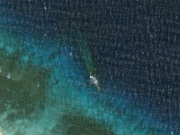 PacificWrecks.com