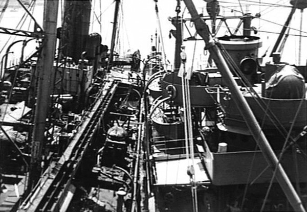 PacificWrecks.com
