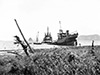 PacificWrecks.com