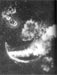 Click For Enlargement