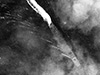 Click For Enlargement