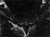 Click For Enlargement