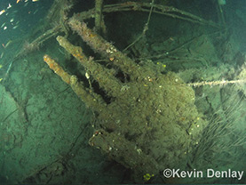 Click For Enlargement