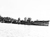 Click For Enlargement