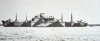 Click For Enlargement