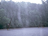 Click For Enlargement