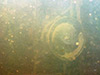 Click For Enlargement