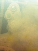 Click For Enlargement