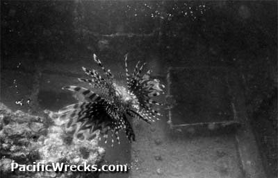 PacificWrecks.com