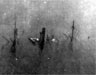 Click For Enlargement