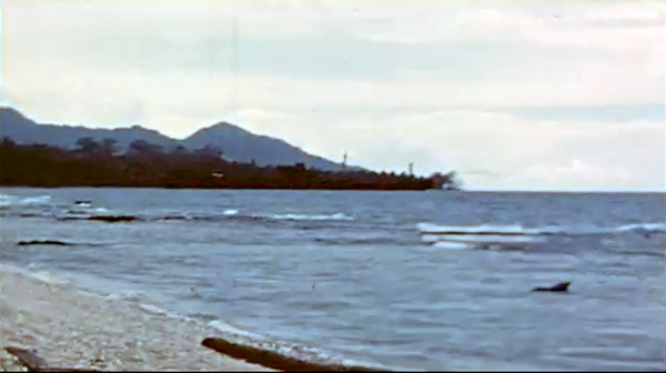 PacificWrecks.com
